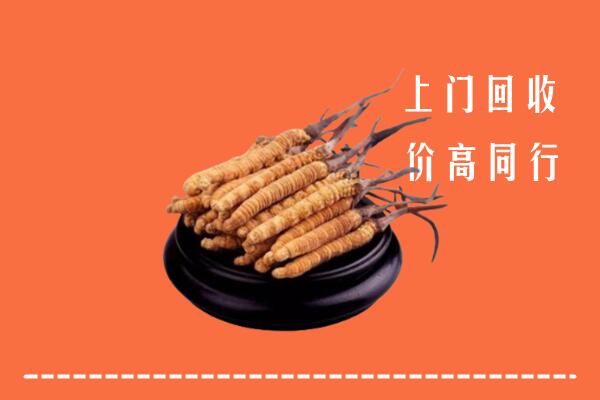 高价求购：青原区回收散虫草