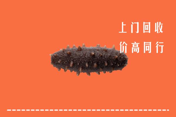 高价求购：青原区回收海参