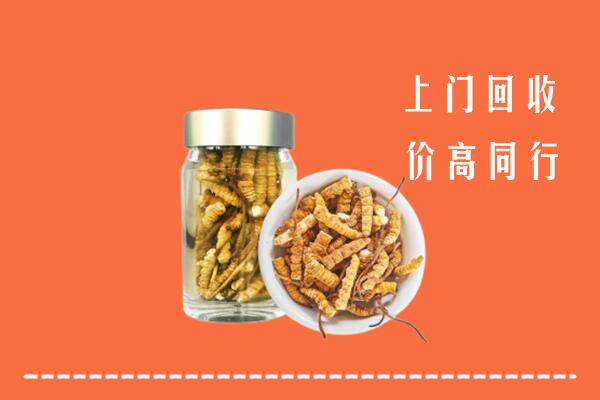 青原区回收冬虫夏草