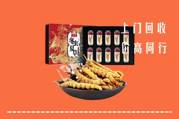 青原区回收虫草